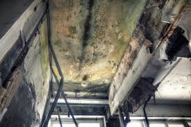 Best Comprehensive Air Testing for Mold Contaminants in Goodwater, AL